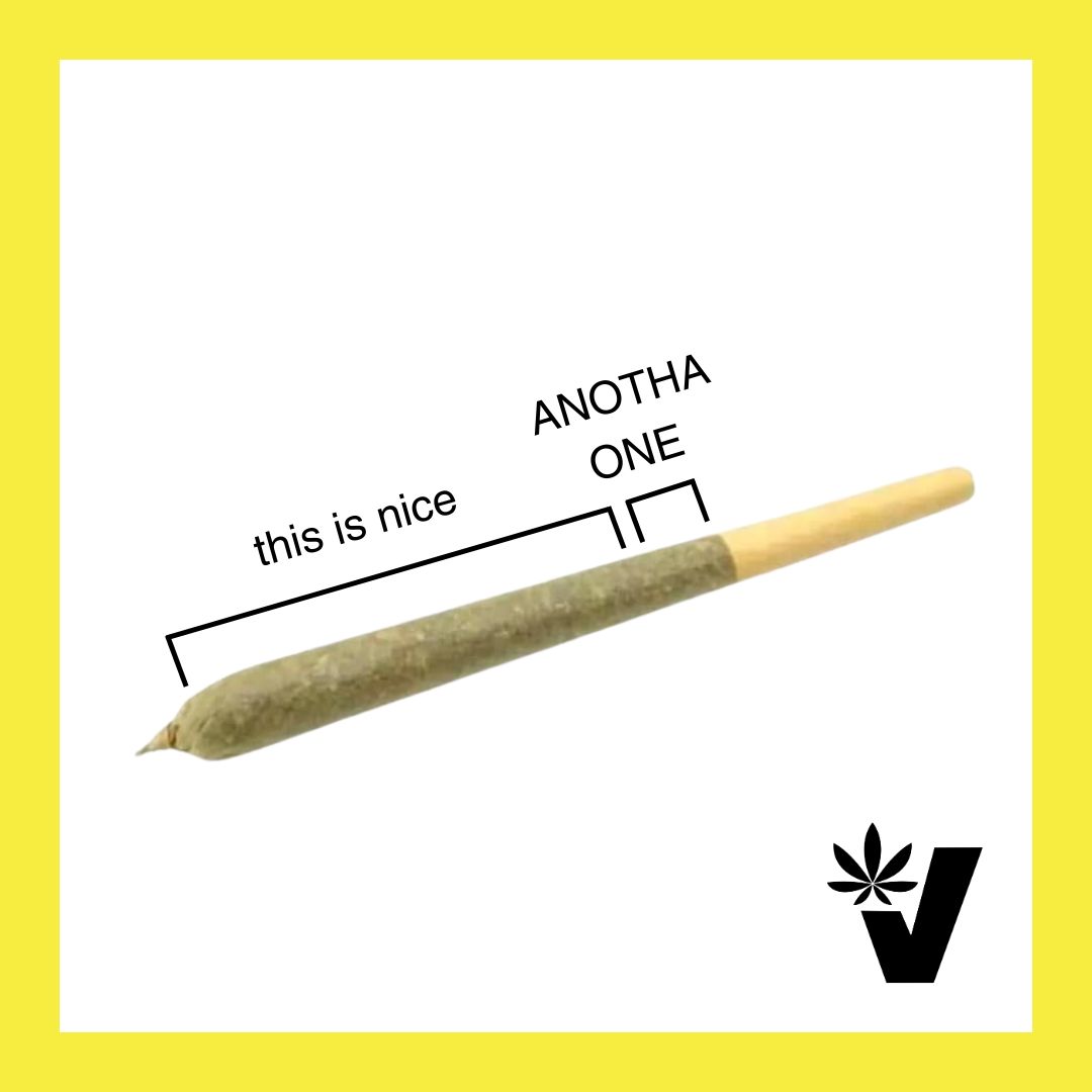 Value Buds tweet media