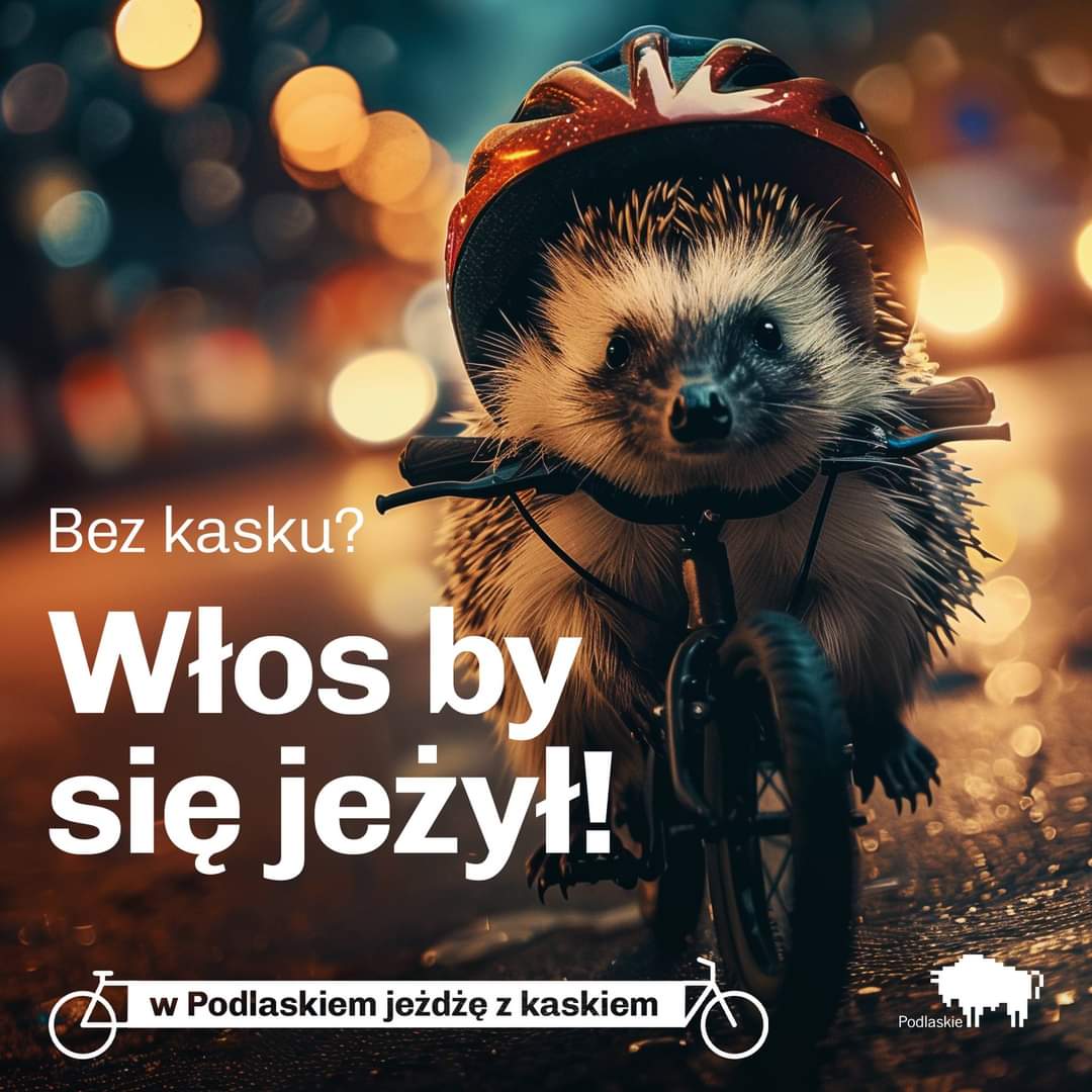 tycjann's tweet photo. 🚲 Województwo Podlaskie kontynuuje ubiegłoroczną akcje promującą jazdę w kasku na rowerze "W Podlaskiem jeżdżę z kaskiem". Do starych bohaterów dołączyli nowi. 🙂 Kampania ma uświadomić jak ważne dla naszego zdrowia i życia jest kask.

W komentarzu dodałem jeszcze łosia. 🙂

Źródło: https://t.co/2gCWAAoerp