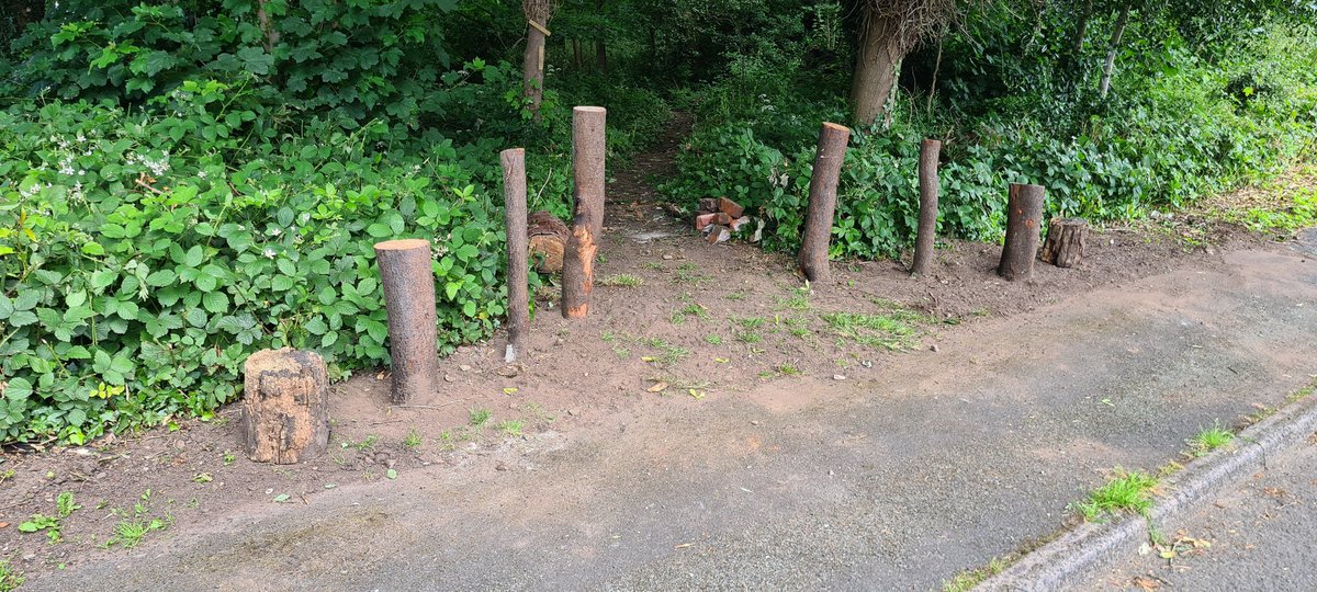 Checkout our new entrance sculpture, our attempt to make the wood more inviting.
Pop along and have an explore. Let us know what you think.