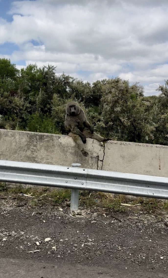 Encontrarte a tu hermana en el otro lado del mundo 🇰🇪🥰🔝