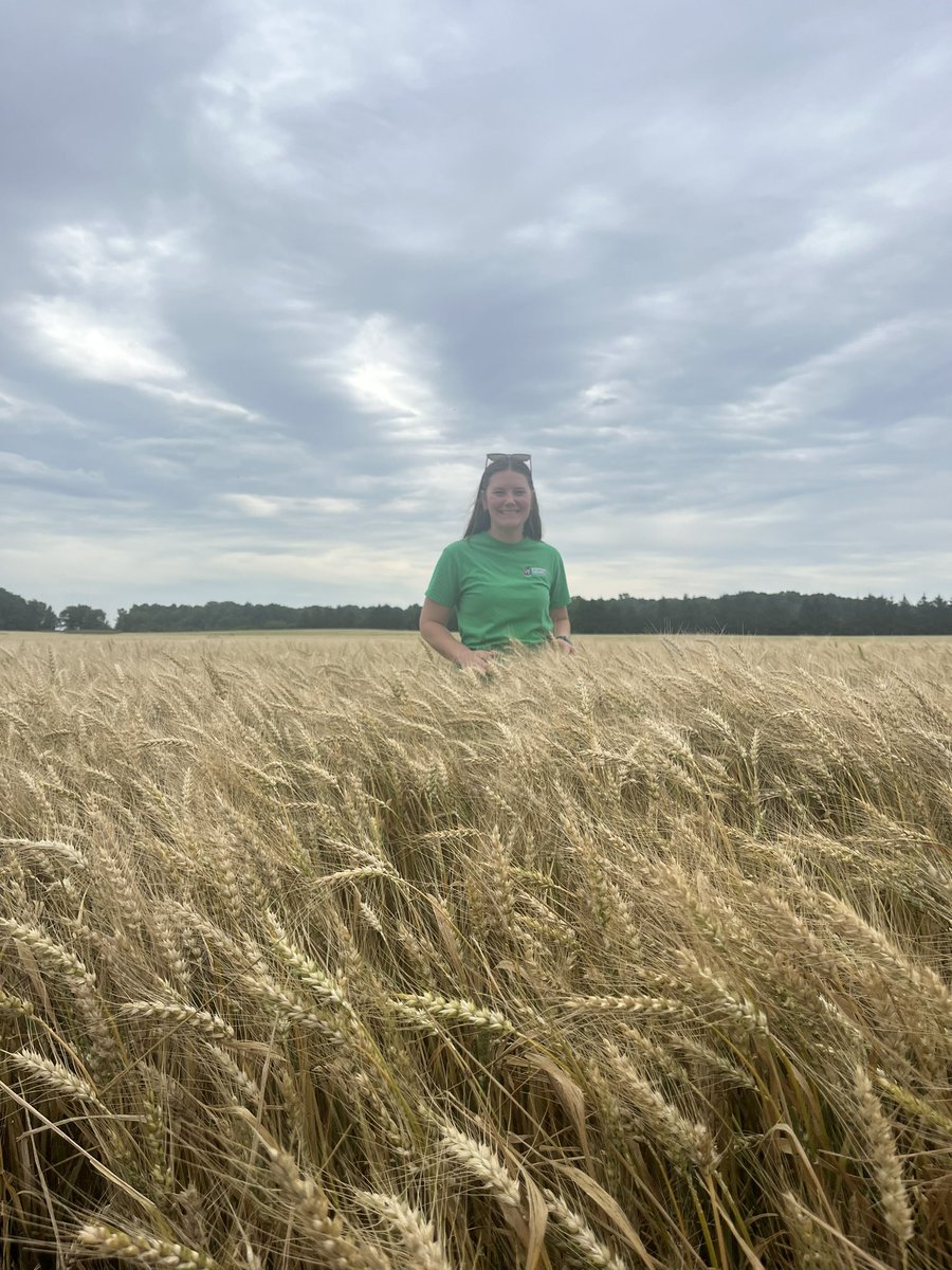 Megan Weber tweet media