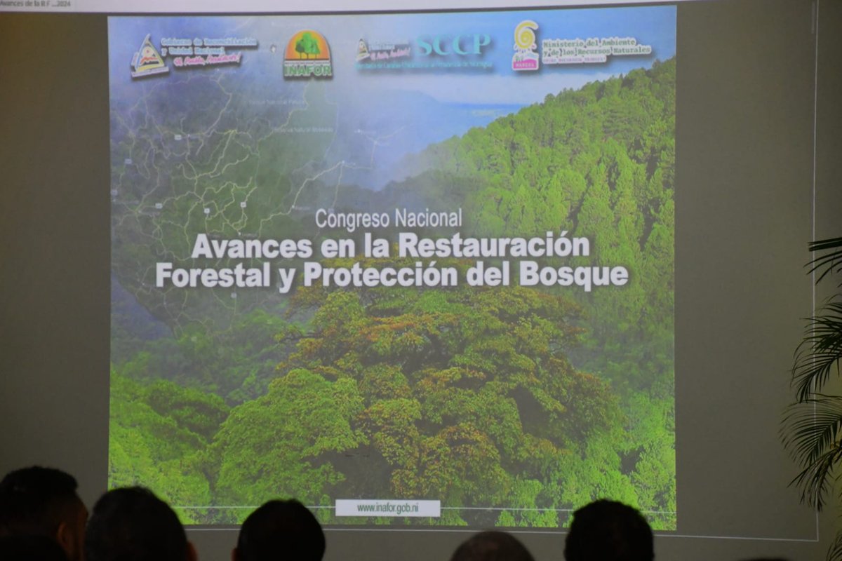 MarenaNicaragua's tweet photo. La presentación de los avances en la restauración forestal y la protección de nuestros bosques, fue presentada por el Cro. Roberto Domínguez, Director de Fomento, Protección y Desarrollo Forestal del #INAFOR.
#PatrimoniosNaturales
#AmorAlaMadreTierra
#Nicaragua https://t.co/jHhjtc3y1P