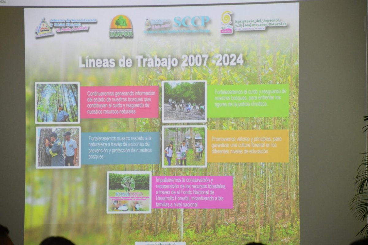 MarenaNicaragua's tweet photo. La presentación de los avances en la restauración forestal y la protección de nuestros bosques, fue presentada por el Cro. Roberto Domínguez, Director de Fomento, Protección y Desarrollo Forestal del #INAFOR.
#PatrimoniosNaturales
#AmorAlaMadreTierra
#Nicaragua https://t.co/jHhjtc3y1P