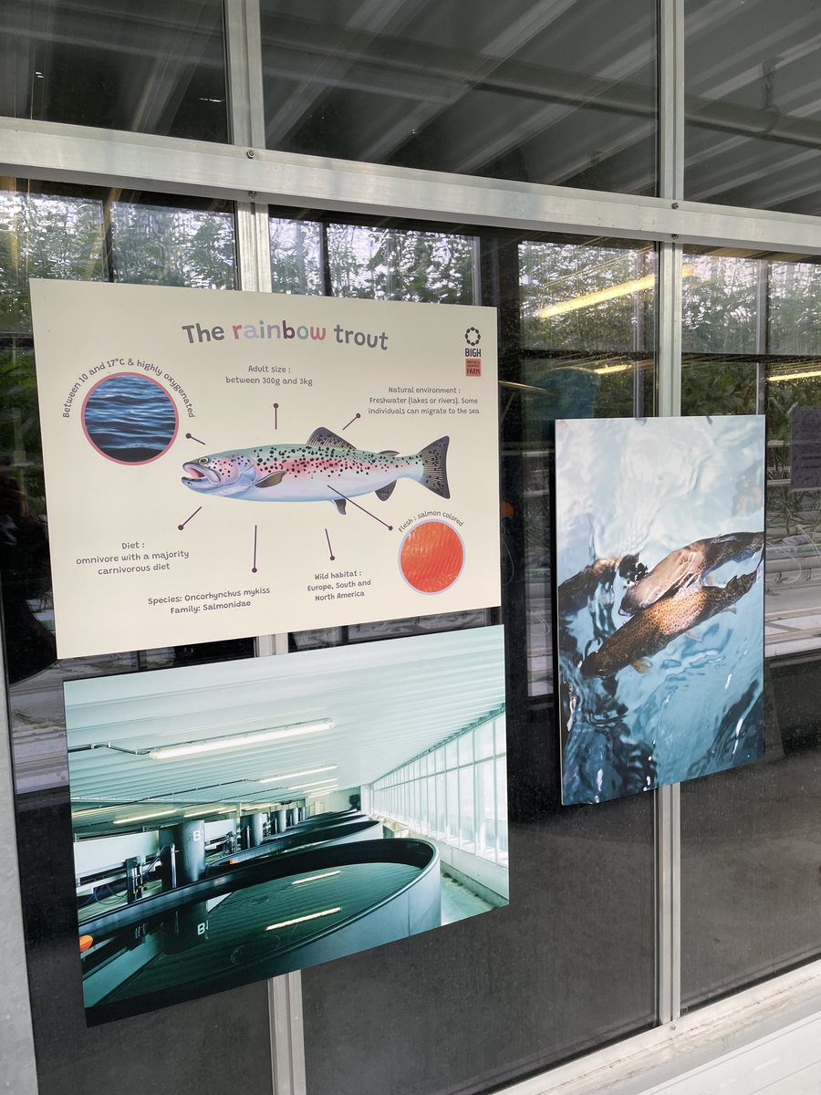 As part of our AGM we were delighted to take members to the #BIGH #Aquaponics Farm in Brussels🇧🇪 currently the largest in 🇪🇺and with plans for much larger sites to come! Circularity and resource reuse are an increasing trend in #aquaculture but scale can prove critical ♻️🐟🌱🍅🐝