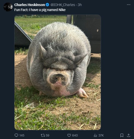 decypher tweet media