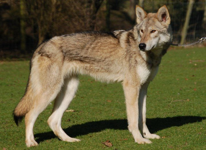 Goob ! (bsky @goob.art) tweet media