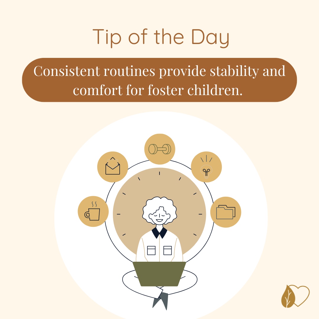 Establishing regular schedules helps create a sense of security and predictability, which is crucial for their emotional and psychological well-being.
