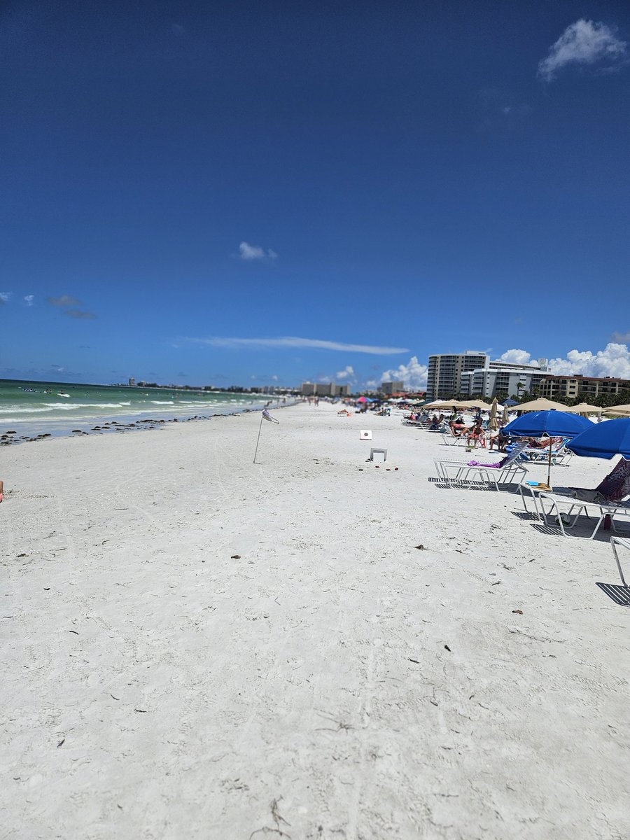 frogmann4's tweet photo. This doesn't suck #SiestaKey #DisOrDat https://t.co/dCw6DV49Ld