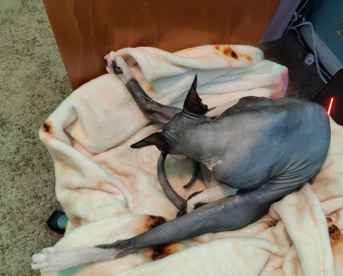 ITSaMe_Alex tweet media