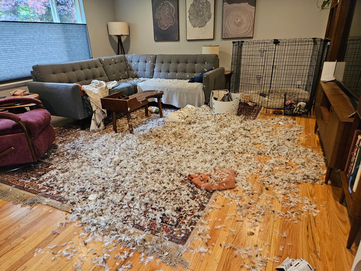 So, this is how my day started. How is yours going?