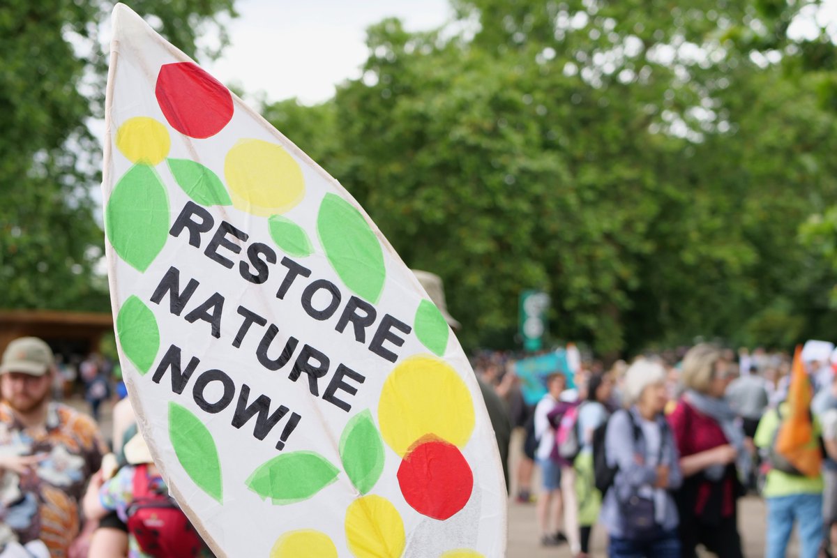 Hampshire & Isle of Wight Wildlife Trust (@hantsiwwildlife) on Twitter photo Last Saturday we marched with 60,000 people in the largest-ever demonstration for nature in the UK at the Restore Nature Now march 💪
We were joined by groups including <a href="/WildlifeTrusts/">The Wildlife Trusts</a>, <a href="/TheCCoalition/">The Climate Coalition</a>, <a href="/nationaltrust/">National Trust</a>, <a href="/Natures_Voice/">RSPB</a>.
Find out more here: bit.ly/4cviLEN Last Saturday we marched with 60,000 people in the largest-ever demonstration for nature in the UK at the Restore Nature Now march 💪
We were joined by groups including <a href="/WildlifeTrusts/">The Wildlife Trusts</a>, <a href="/TheCCoalition/">The Climate Coalition</a>, <a href="/nationaltrust/">National Trust</a>, <a href="/Natures_Voice/">RSPB</a>.
Find out more here: bit.ly/4cviLEN