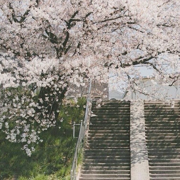 heartzjpg's tweet photo. https://t.co/0yn3Jbj718