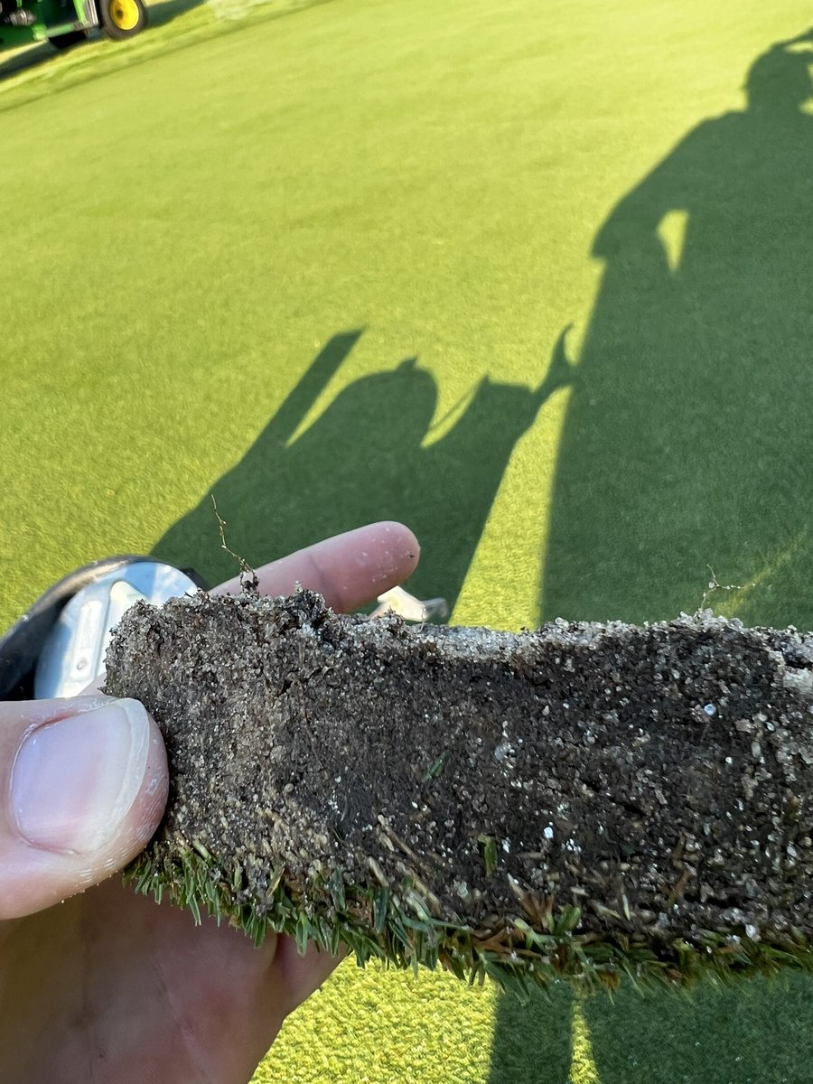 Zachary Guggenheim tweet media