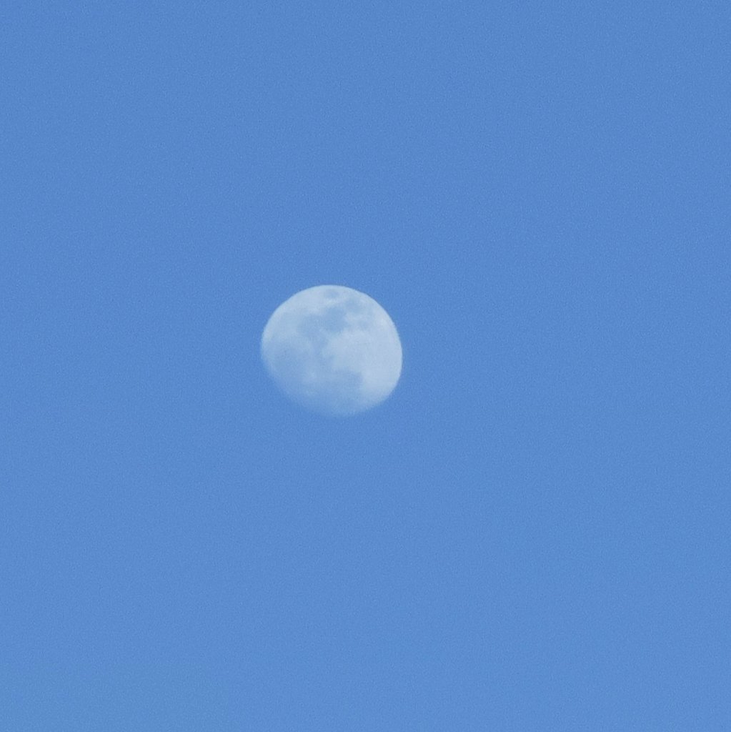 SachinAcharya's tweet photo. #S23U #moon #moonchild #moonlover #photography #itsnotfake https://t.co/nHdJnMnGum