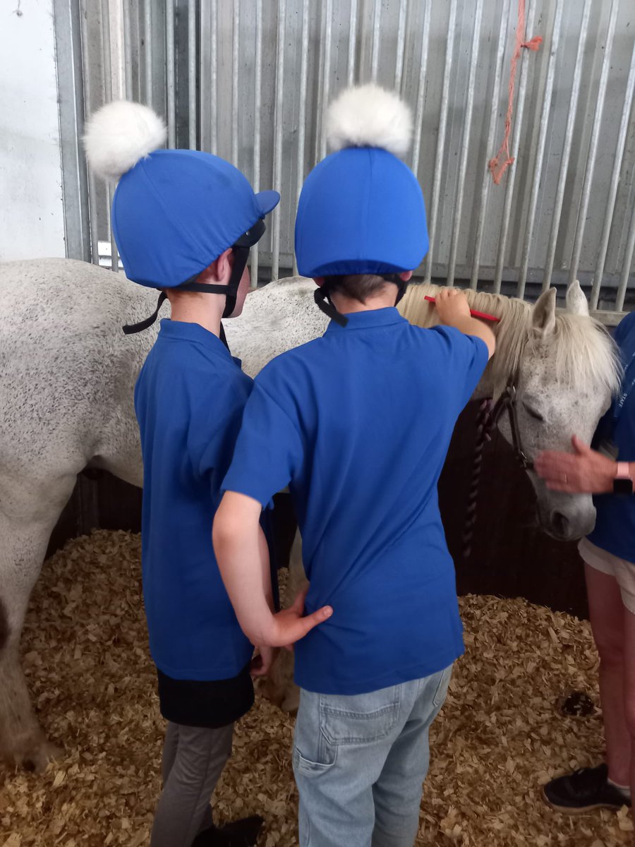 Year 6 are having a fantastic week <a href="/AcademyPony/">Newmarket Pony Academy</a>