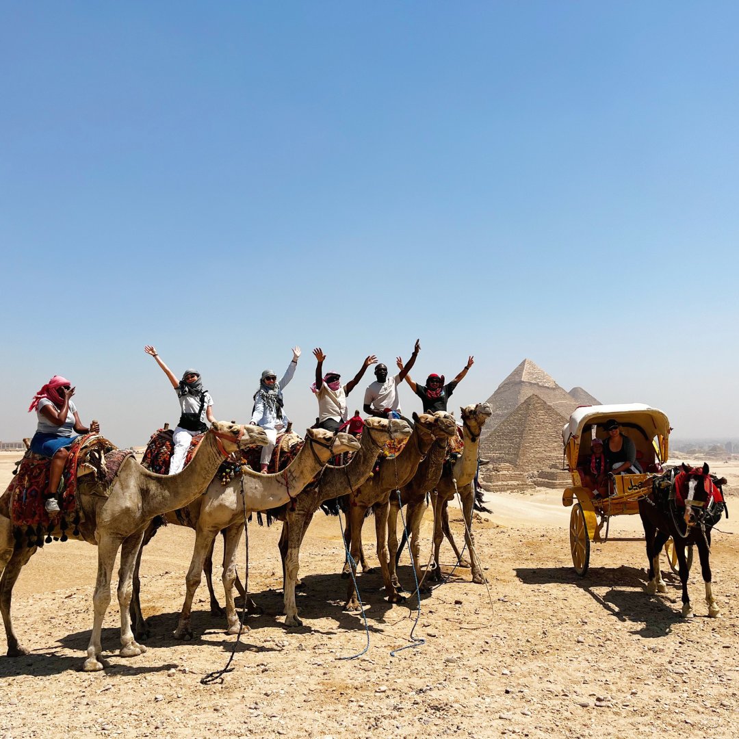 ELPrograms's tweet photo. Just your typical day at the office... Eight English Language Fellows from Southern Africa taking on Cairo! From pyramids to teacher training, this mid-fellowship event was one for the books. Who knew professional development could be this adventurous?
#ELFellow https://t.co/J048LIdU5z