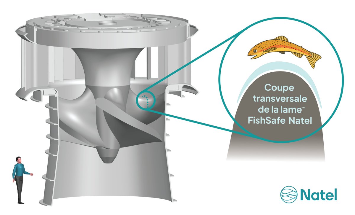 🇫🇷Puissance Hydro's latest issue, focussed on innovation in #hydropower, features an article about Natel's #FishSafe turbine designs &amp; our collab with 🇩🇪German manufacturer <a href="/DIVETurbinen/">DIVE Turbinen GmbH & Co. KG</a> to expand FishSafe hydro in Europe and globally. 🌍

Learn More: puissance-hydro.fr/products/puiss…