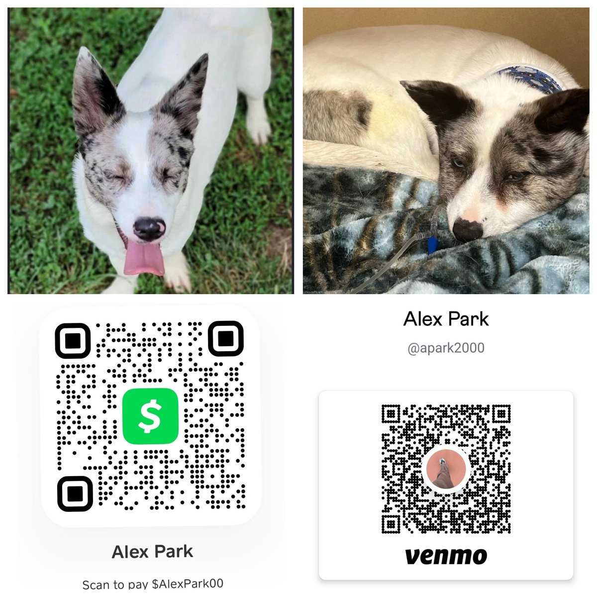 I hate asking for help, but we are in a tight spot - any help at all would be appreciated