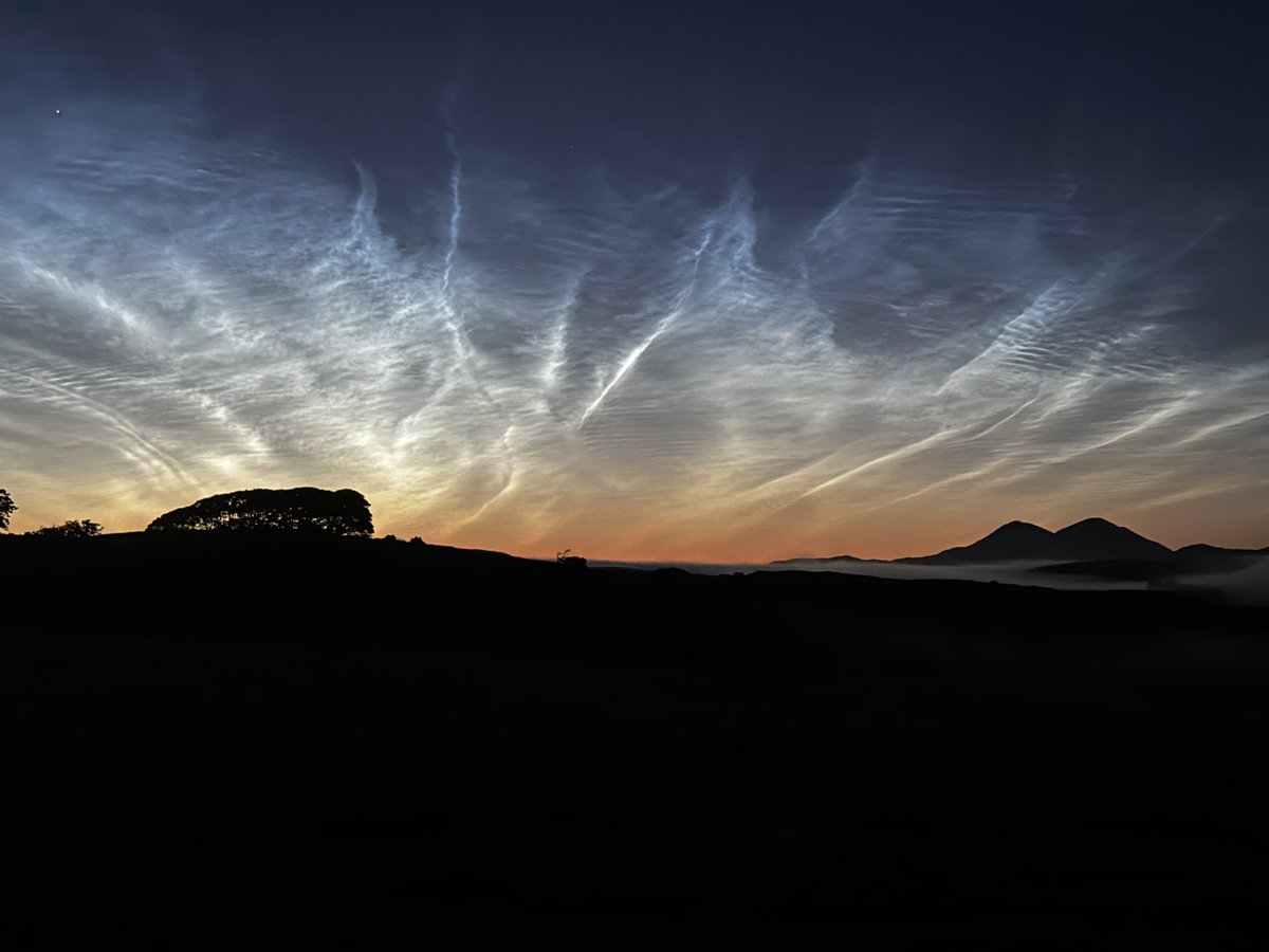 NatureNorthEast's tweet image. Some eerily beautiful #NOCTILUCENT clouds I was enjoying over Islay last night, whilst out on a Corncrake survey.

No Corncrakes on my route but I did manage to locate a singing female Water Rail, several Barn Owls, and more exciting, a vocal Long-eared Owl. 

#IsleofIslay