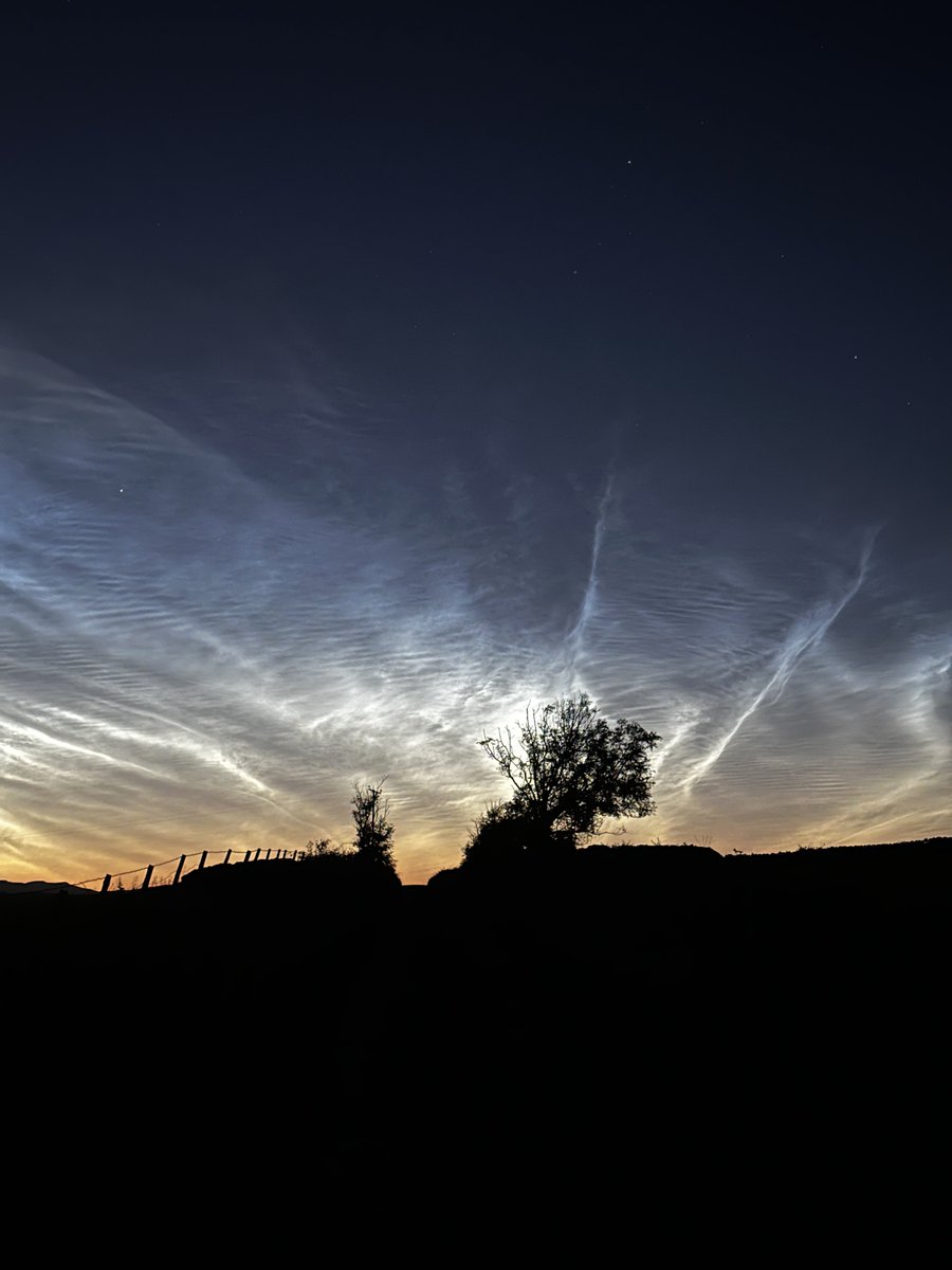 NatureNorthEast's tweet image. Some eerily beautiful #NOCTILUCENT clouds I was enjoying over Islay last night, whilst out on a Corncrake survey.

No Corncrakes on my route but I did manage to locate a singing female Water Rail, several Barn Owls, and more exciting, a vocal Long-eared Owl. 

#IsleofIslay