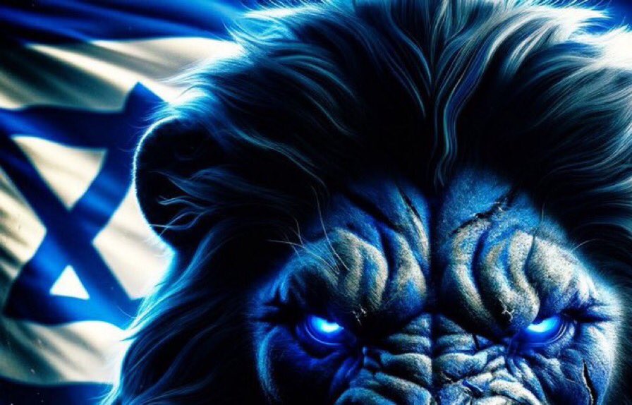 Hannes Pechthold 🎗️ 🇩🇪🇮🇱🇺🇦🇬🇪🇪🇺 tweet media