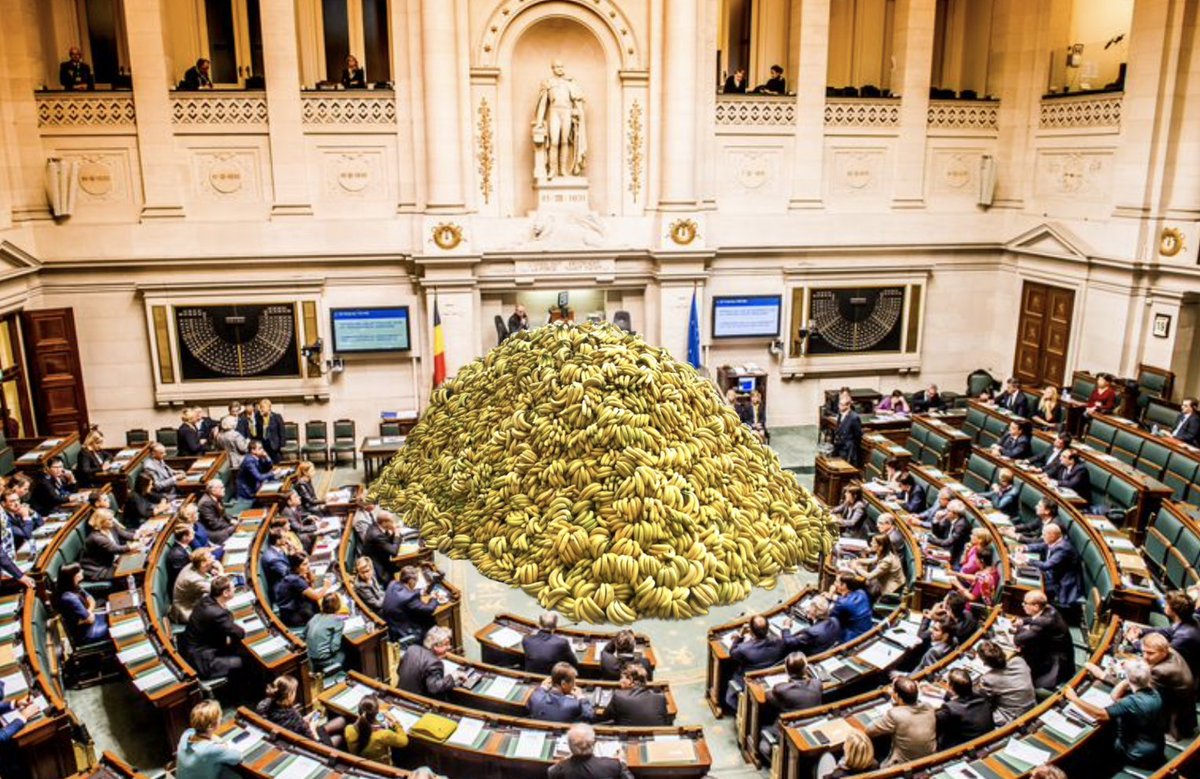 In dit land is er een consensus dat de verkiezingen onwettig verlopen zijn.  Ze schenden zelfs de mensenrechten. Ook daarover is er een consensus, minstens wat betreft de klachtenprocedure. 

Er is een al even grote consensus in de verwachting dat het parlement desondanks de