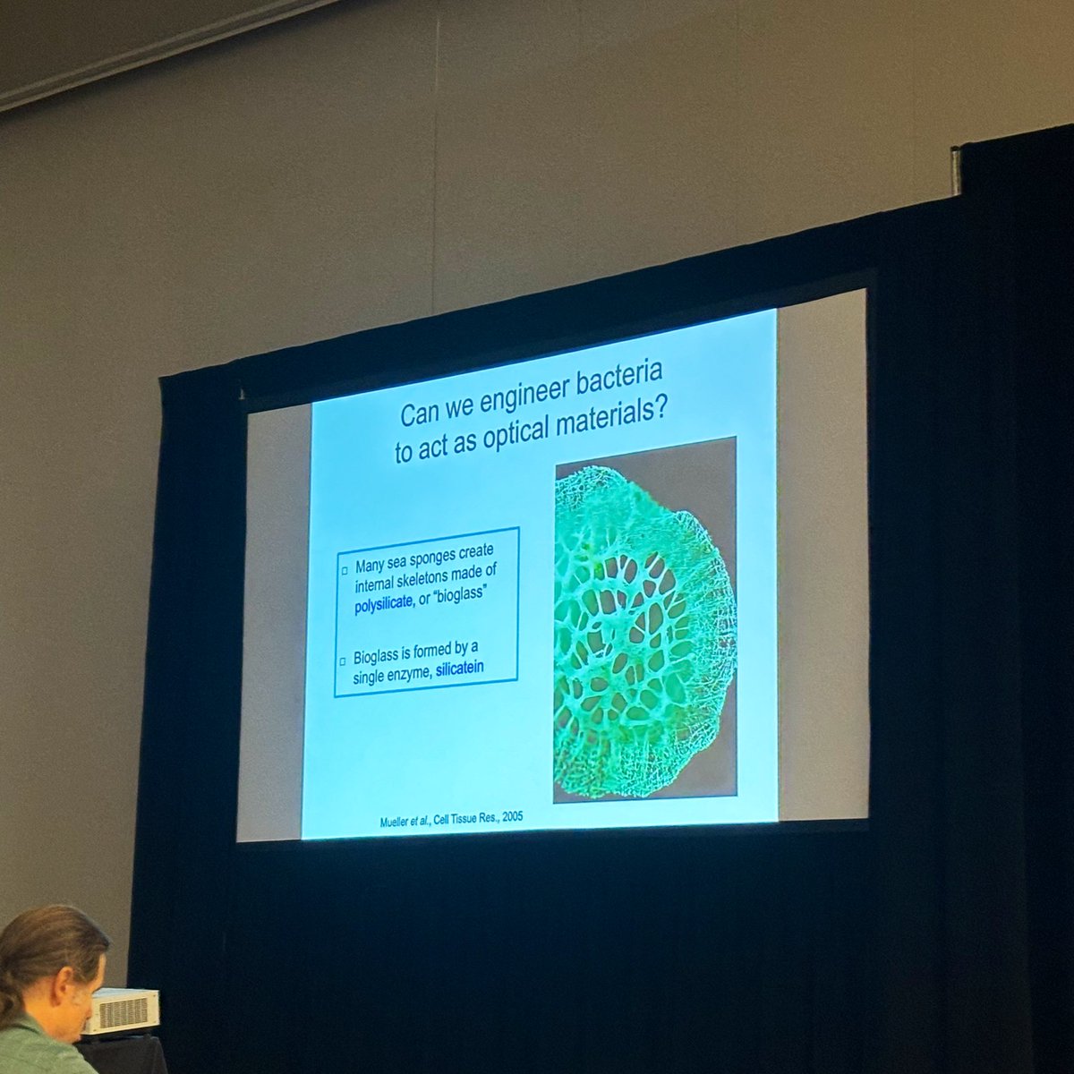 Tom Ellis tweet media