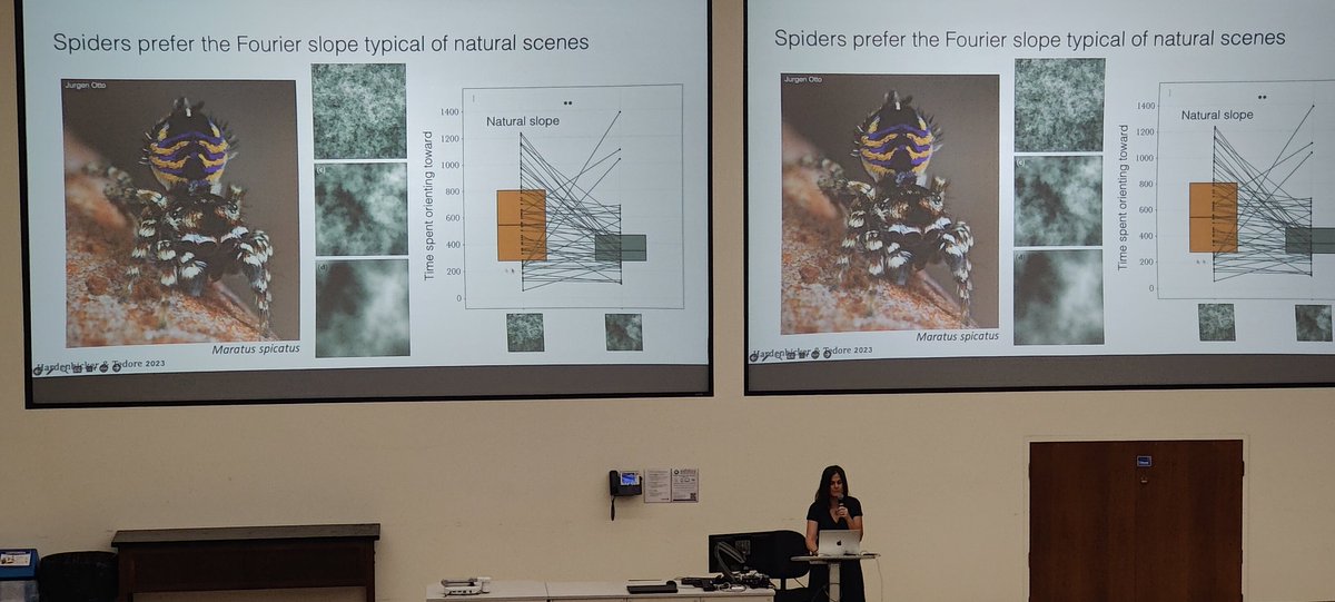 Maydianne Andrade tweet media