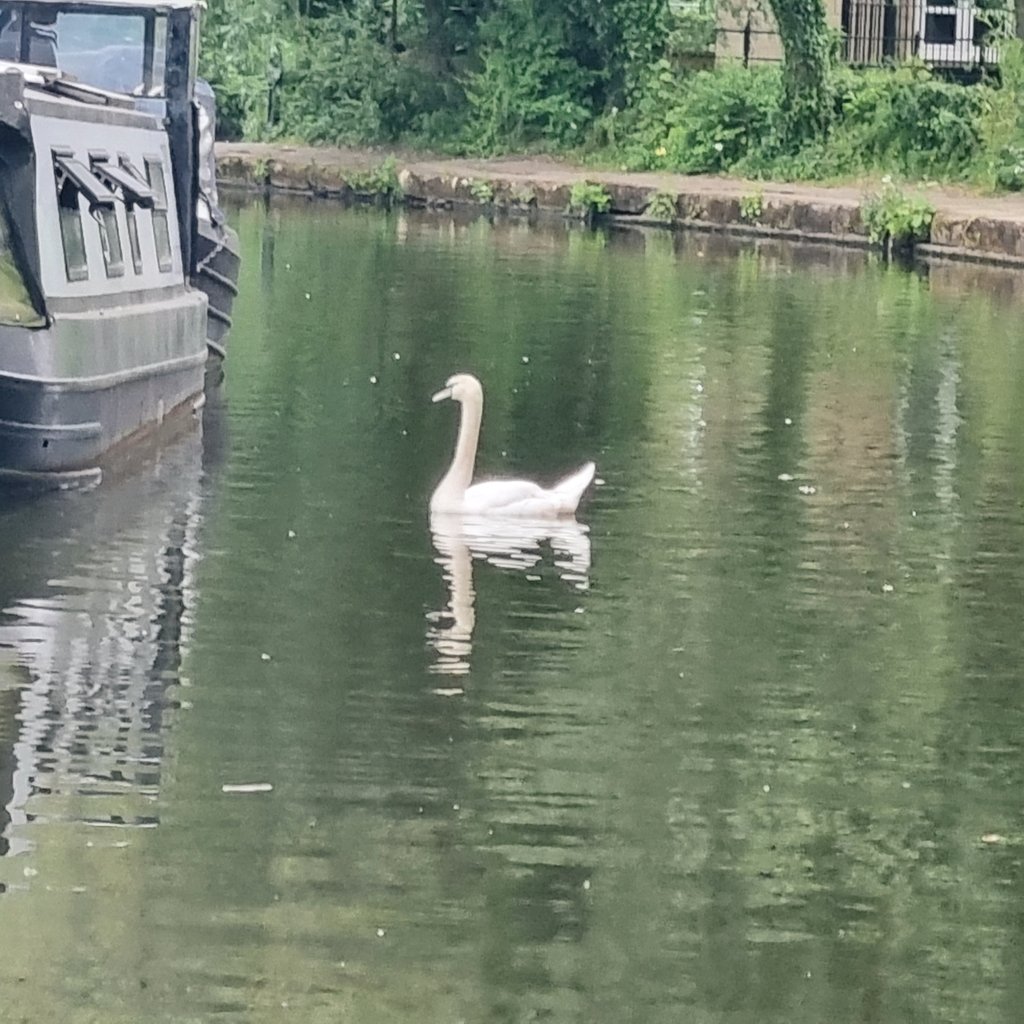 DadBodDan tweet media