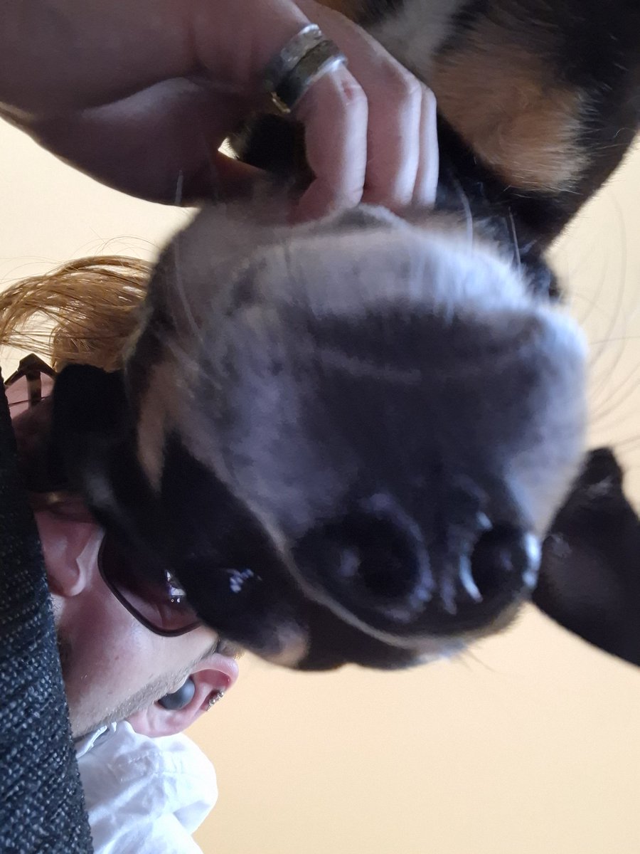 TeaEditor's tweet photo. @mamma__al @bignattydaddy20 @CCrumbCreations I'll sort more photos out later, but this is a gooden. 

"What doing?" https://t.co/budQVgif10