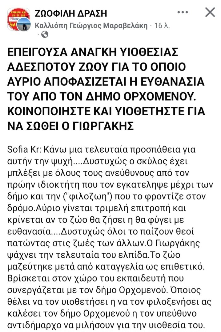 MissLiLiMonster's tweet photo. ‼️SOS‼️

#ΥΙΟΘΕΣΙΑ

ΑΥΡΙΟ ΑΠΟΦΑΣΙΣΤΗΚΕ ΕΥΘΑΝΑΣΙΑ ΓΙΑ ΤΟ ΣΚΥΛΑΚΙ ΑΠΟ ΤΟΝ ΔΗΜΟ ΟΡΧΟΜΕΝΟΥ.ΚΟΙΝΟΠΟΙΗΣΤΕ ΓΙΑ ΝΑ ΣΩΘΕΙ!! https://t.co/PDf1mrY5r1