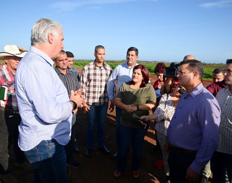 A aprovechar todas las potencialidades y diversificar las producciones  llamó <a href="/DiazCanelB/">Miguel Díaz-Canel Bermúdez</a>, durante un recorrido por  sitios de interés del municipio de La Palma en la provincia de Pinar  del Río. #CubaViveYTrabaja