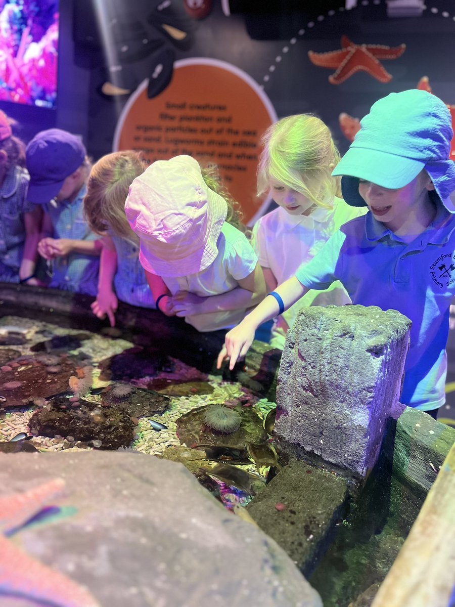 SBPS Ducklings tweet media