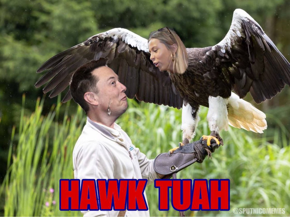 It’s Hawk… TUAH <a href="/elonmusk/">Elon Musk</a> 
Spit on that thang. #HawkTuah