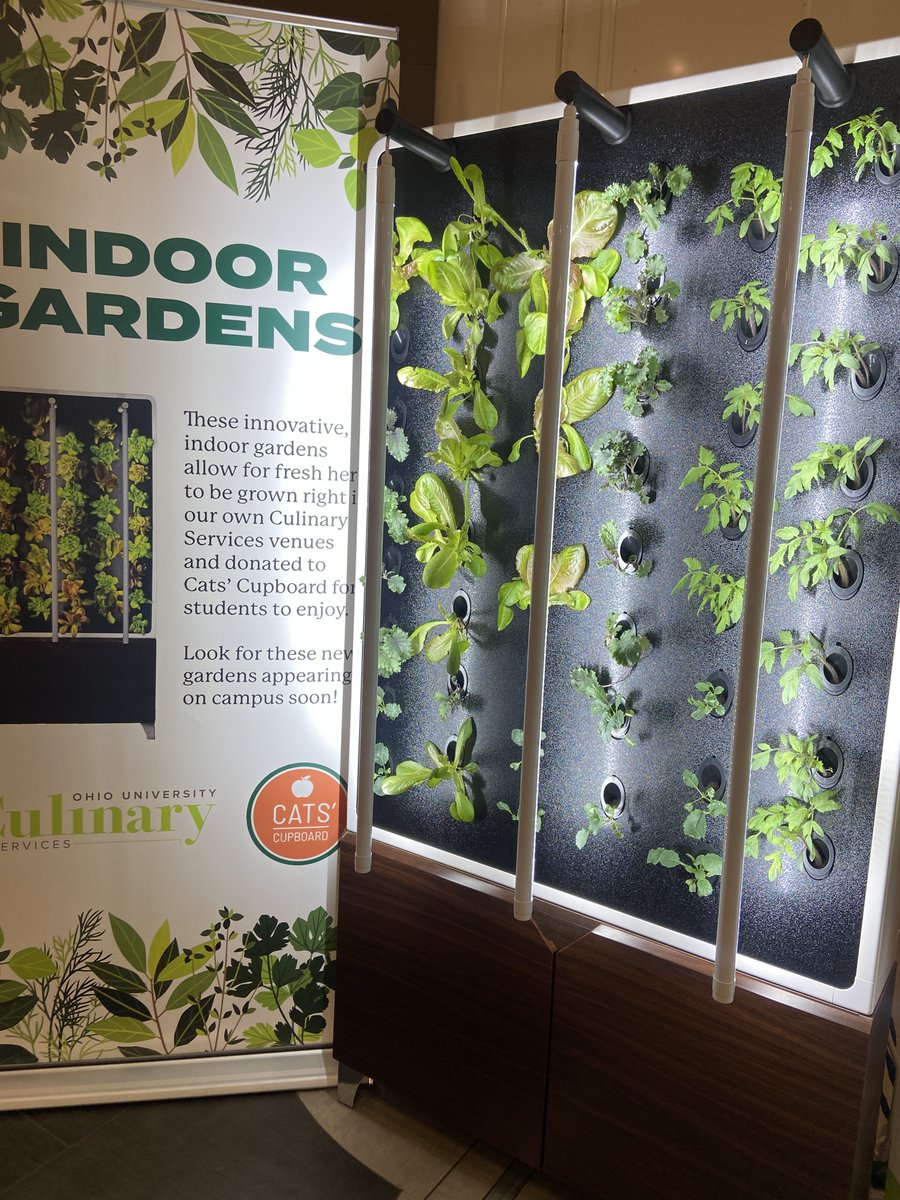 Have you stopped by Nelson Court lately? Check out our Indoor Garden! We harvested spring mix and had it available over the weekend for our guests.

Thanks to OHIO Student Senate for working with Culinary Services on this project.

#ohioeats #ohiofood #ohiostudentsenate #thrive