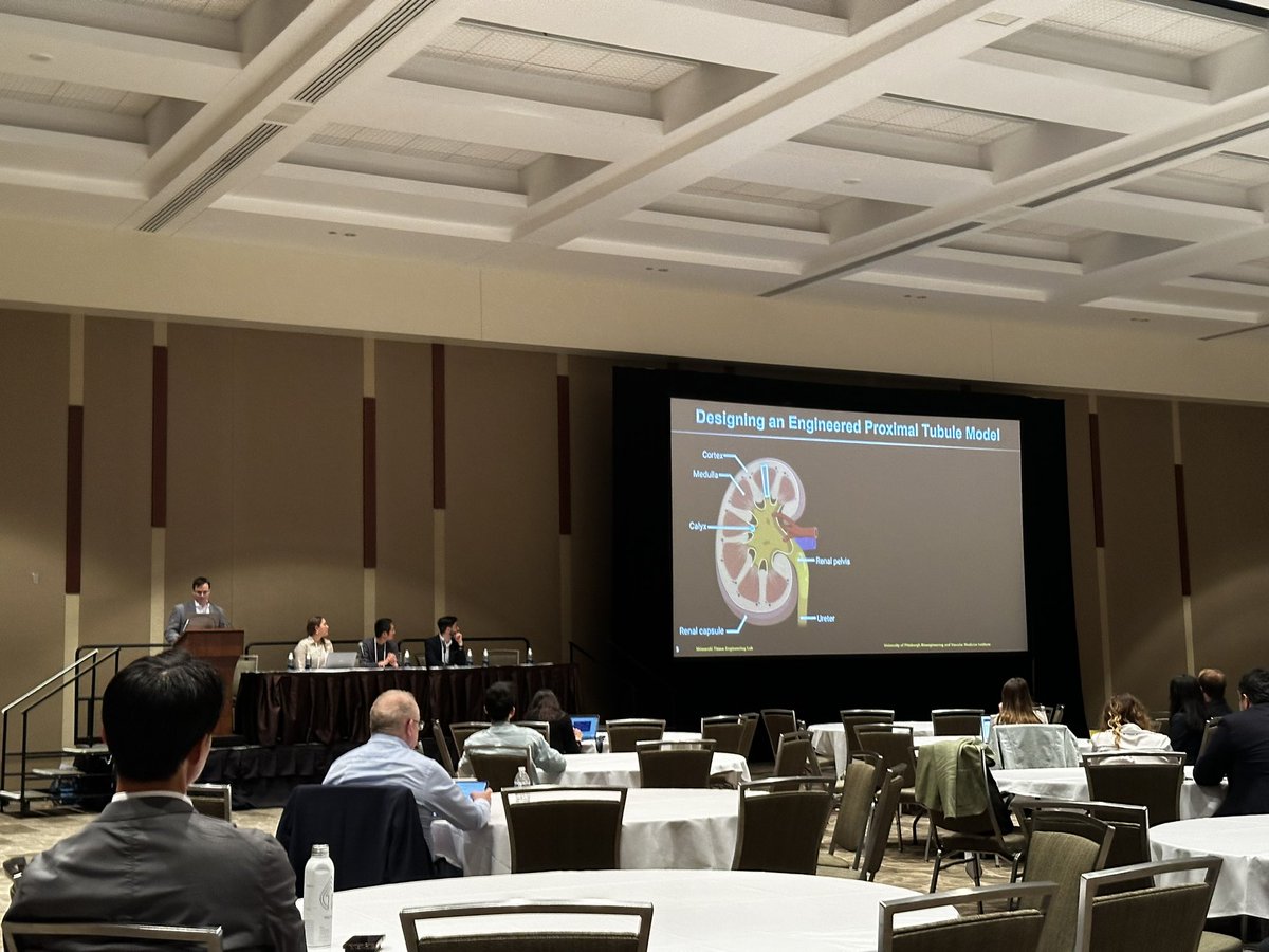 Dan Shiwarski, Ph.D. (@shiwarskilab) on Twitter photo #TERMIS2024 Off to a great start with <a href="/bdcoffin/">Brian Coffin</a>’s talk about FRESH bioprinting Kidney models for proximal tubule physiology for our collaborate project with <a href="/caryboyd3/">Cary Boyd-Shiwarski, MD/PhD</a>. <a href="/PittDeptofMed/">PittDeptofMed</a> <a href="/PittVMI/">Vascular Medicine Institute</a> <a href="/PittBioE/">Pitt Bioengineering</a> #TERMIS2024 Off to a great start with <a href="/bdcoffin/">Brian Coffin</a>’s talk about FRESH bioprinting Kidney models for proximal tubule physiology for our collaborate project with <a href="/caryboyd3/">Cary Boyd-Shiwarski, MD/PhD</a>. <a href="/PittDeptofMed/">PittDeptofMed</a> <a href="/PittVMI/">Vascular Medicine Institute</a> <a href="/PittBioE/">Pitt Bioengineering</a>