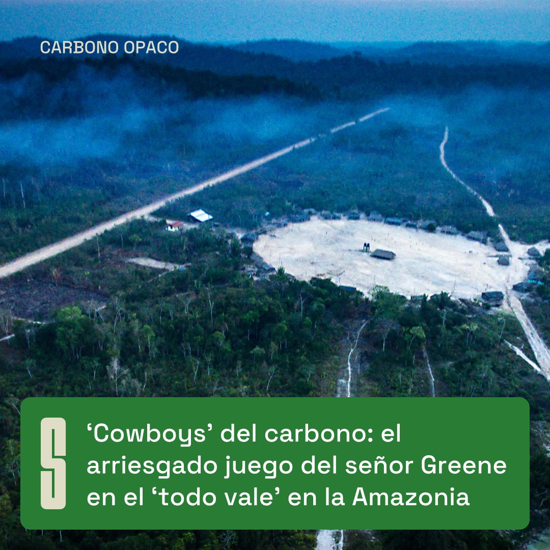 SUMAÚMA Periodismo tweet media