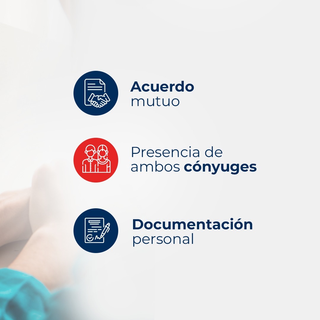 Colegio de Notarios tweet media