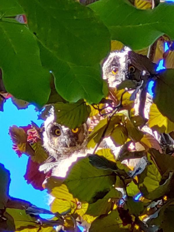 Dove 🚬🥃 tweet media