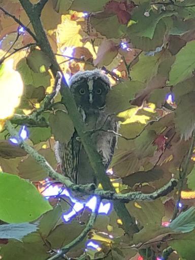 Dove 🚬🥃 tweet media