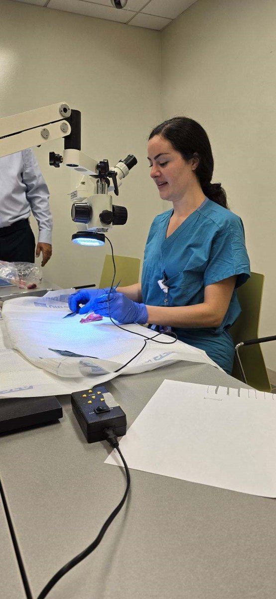 NYULISOM_U's tweet image. Microsurgery skills lab with urology residents &amp;amp; medical students. Thank you Dr. Schoor for a great learning experience. #residentteaching #urologysurgery
#NYUGLISOM