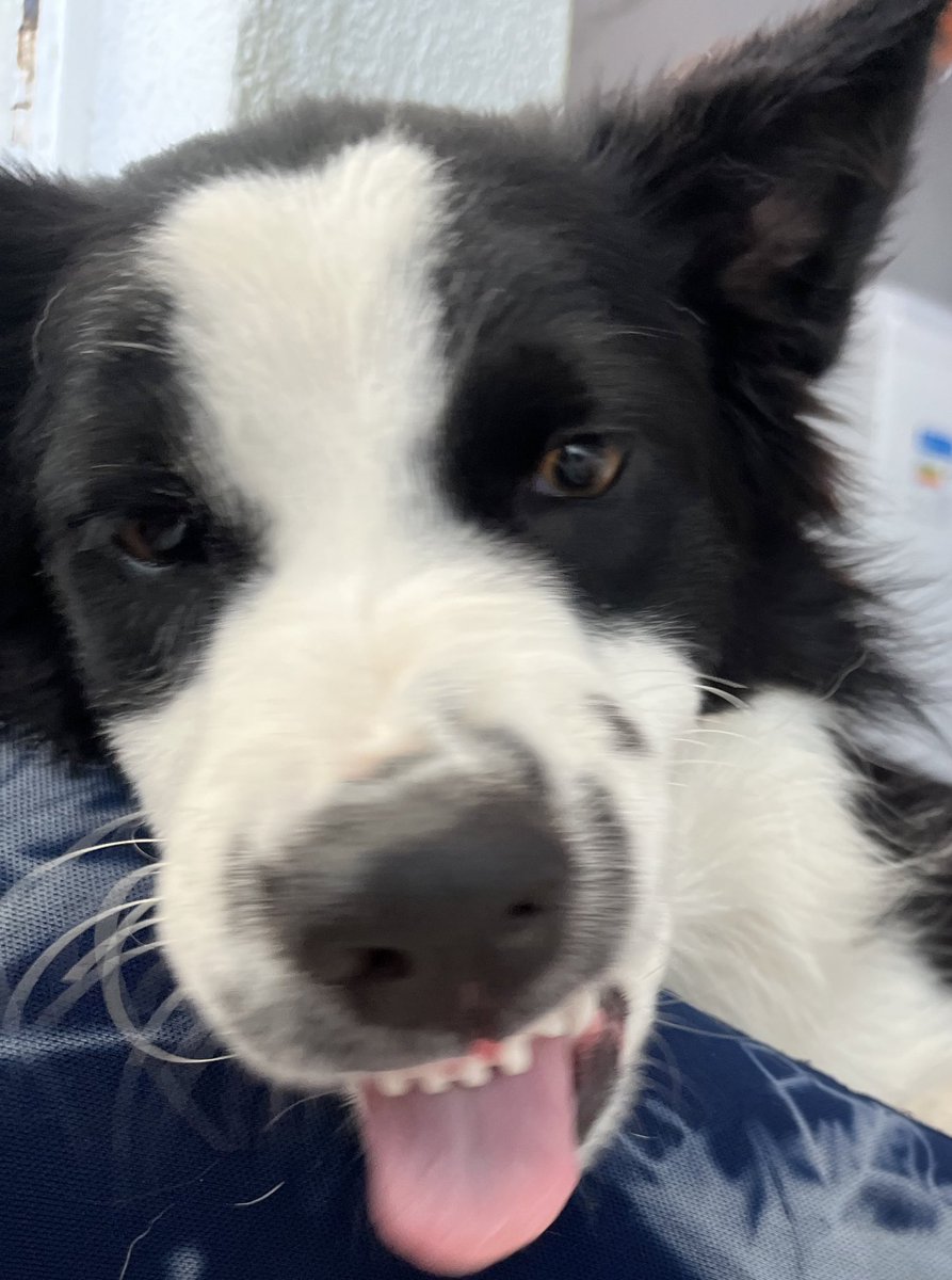 “Nossa você engordou né”