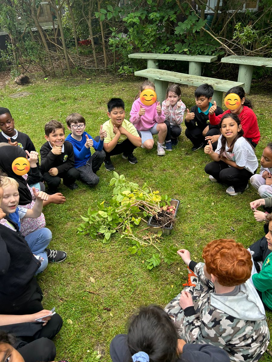 BalgreenPrimary tweet media