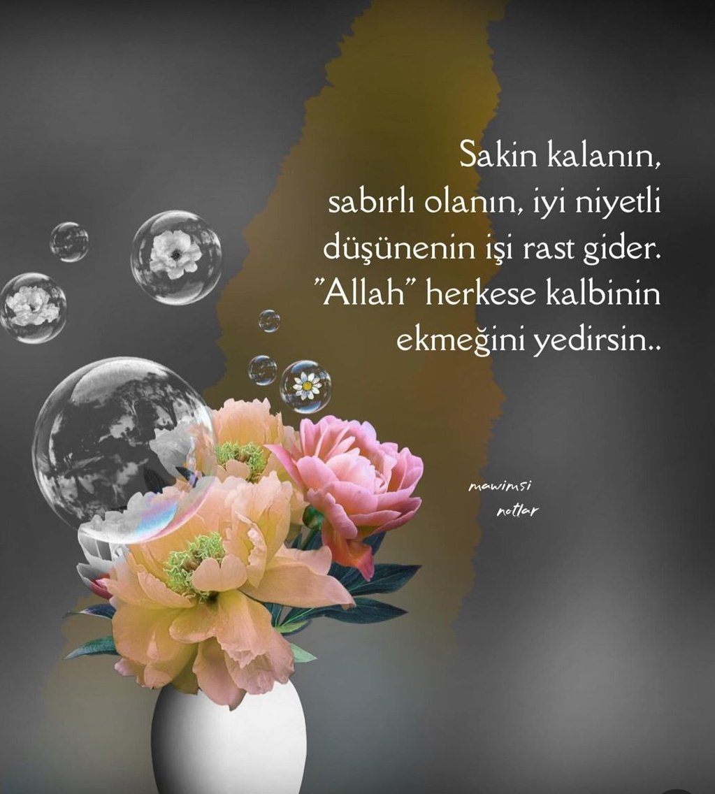 Cihan Uslu (@uslucihan) on Twitter photo 