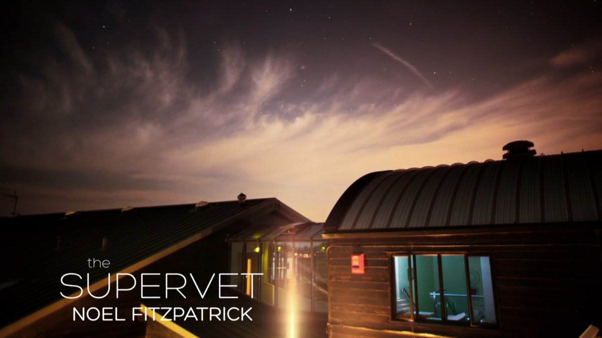 Fitzpatrick Referrals (@fitzpatrickref) on Twitter photo Don’t miss The #Supervet tonight - a day earlier than usual – featuring three new patients, Rogan, Brodie and Vinnie seeking specialist care from <a href="/ProfNoelFitz/">Noel Fitzpatrick</a> and our team.
Watch at 9pm on @channel4 👍📺 Don’t miss The #Supervet tonight - a day earlier than usual – featuring three new patients, Rogan, Brodie and Vinnie seeking specialist care from <a href="/ProfNoelFitz/">Noel Fitzpatrick</a> and our team.
Watch at 9pm on @channel4 👍📺