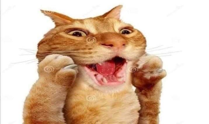 maxsmatrix's tweet photo. me every time i see robert sean leonard (he’s a perfect angel) https://t.co/yvSva5ocDl