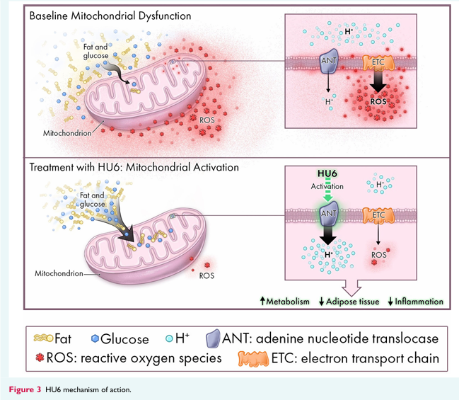 Andrew J Sauer MD tweet media