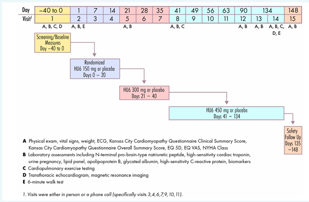 Andrew J Sauer MD (@andrewjsauer) on Twitter photo 🔥Fresh Press 🔥
We propose a novel candidate therapy for HFpEF.
doi.org/10.1002/ejhf.3…
<a href="/HFpEF/">Sanjiv J. Shah, MD</a>
<a href="/LitwinSheldon/">Sheldon Litwin</a>
<a href="/KSharmaMD/">Kavita Sharma</a>
<a href="/MkosiborodMD/">Mikhail Kosiborod</a>
<a href="/MidAmericaHeart/">Saint Luke's Mid America Heart Institute</a>
<a href="/saintlukeskc/">Saint Luke's</a> 🔥Fresh Press 🔥
We propose a novel candidate therapy for HFpEF.
doi.org/10.1002/ejhf.3…
<a href="/HFpEF/">Sanjiv J. Shah, MD</a>
<a href="/LitwinSheldon/">Sheldon Litwin</a>
<a href="/KSharmaMD/">Kavita Sharma</a>
<a href="/MkosiborodMD/">Mikhail Kosiborod</a>
<a href="/MidAmericaHeart/">Saint Luke's Mid America Heart Institute</a>
<a href="/saintlukeskc/">Saint Luke's</a>