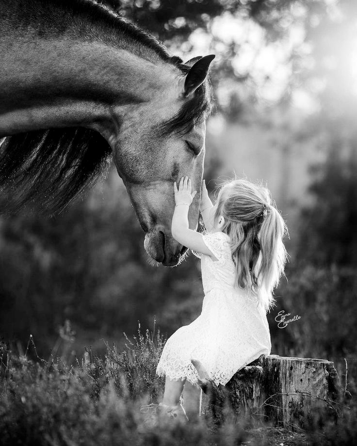 🕊️ɷȷᒪɹɹɹ tweet media
