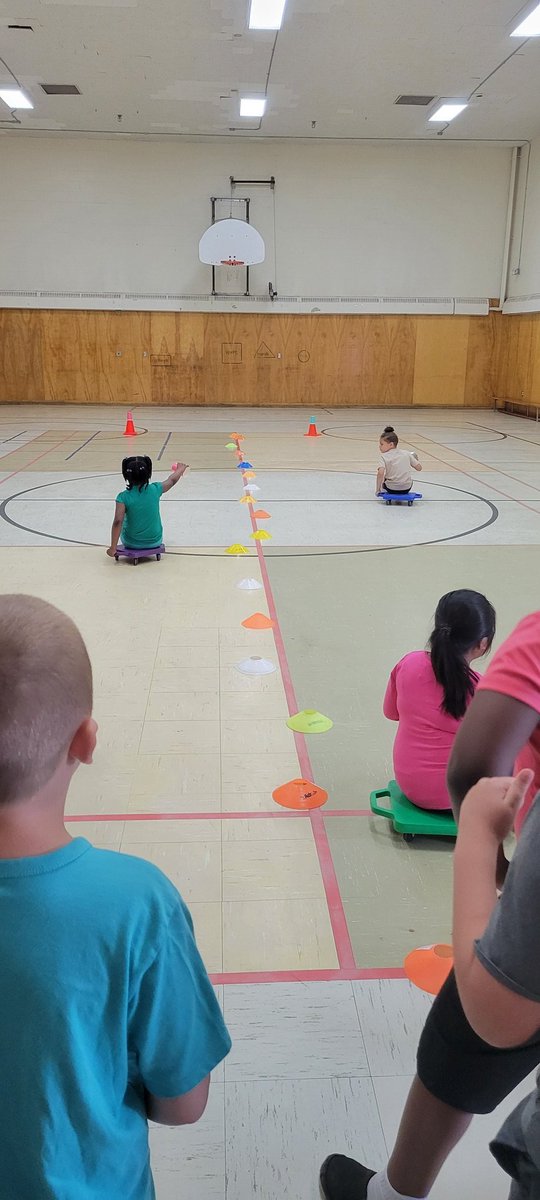 Desiree Trott tweet media